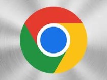 Google Chrome(谷歌浏览器)v124.0.6367.208绿色增强版