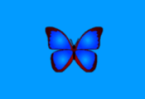 bkViewer v8.3b 绿色版(小巧精悍的数码照片浏览器)