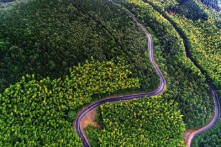 常州人少风景好的地方 小众旅游景点攻略（溧阳1号公路攻略）