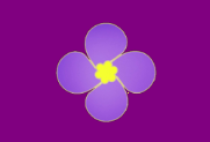 安卓免费影视神器 紫金草视频 v4.7.3 去广告版