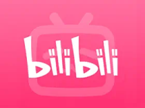 安卓哔哩哔哩(bilibili)谷歌国际版v3.18.2