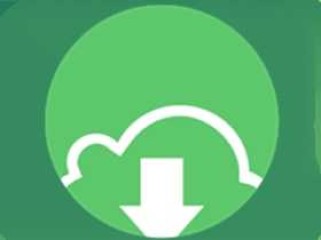 跨平台轻量级原生下载器 Gopeed v1.8.3 便携版