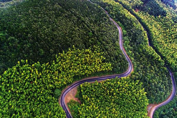 常州人少风景好的地方 小众旅游景点攻略（溧阳1号公路攻略） 第1张