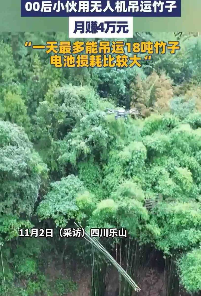 四川00后小伙无人机运竹子月入4万,电池成本惊人揭露 第1张 四川00后小伙无人机运竹子月入4万,电池成本惊人揭露 第1张