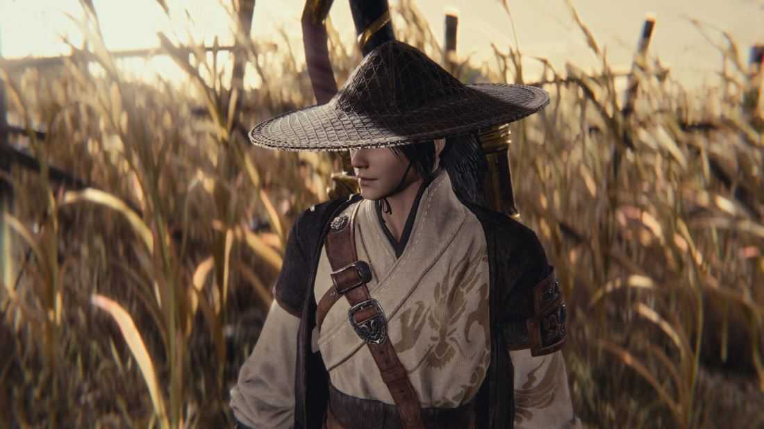 《嗜血印》Build.21826252 免安装绿色中文豪华版 | 全DLC送多项修改器赠MOD 第2张