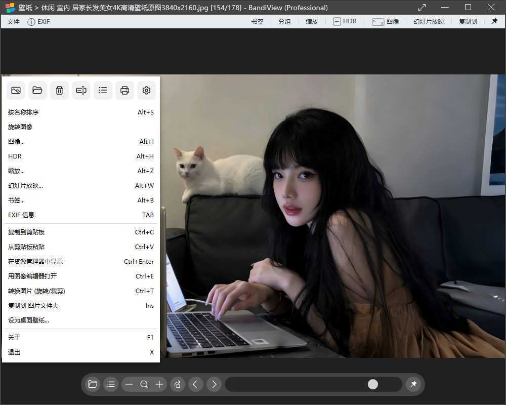 BandiView(图像查看转换器) v7.26 中文绿色版 第1张