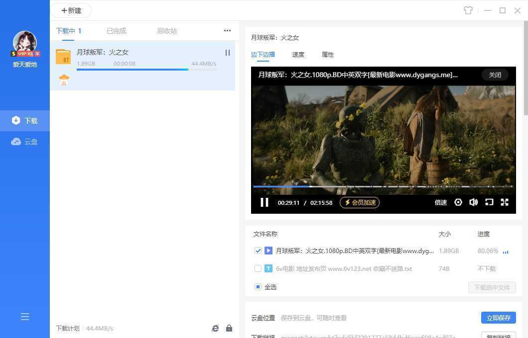 PC端迅雷_v25.0.71.1210 去广告VIP绿色精简优化最新版 第1张