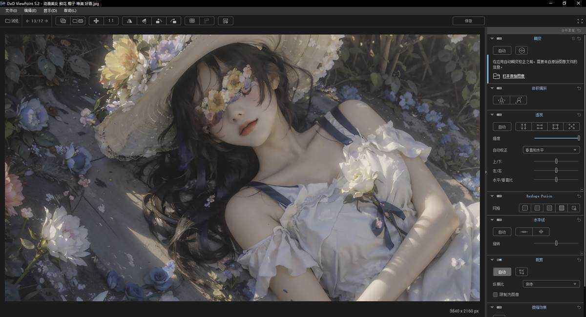 DxO ViewPoint(照片修复校正工具) v5.14 Build 24 中文绿色便携版 第1张