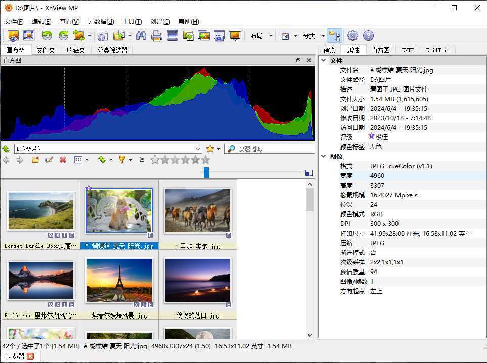 XnViewMP(图像查看器) v1.11.5 中文绿色版 第2张