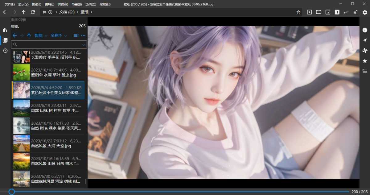 NeeView(高效图片浏览器) v46.0 中文绿色版 第1张 NeeView(高效图片浏览器) v46.0 中文绿色版 第1张